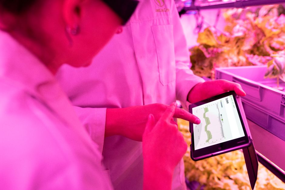 Precision Agriculture ROI: Buy the First Tool That Pays Back